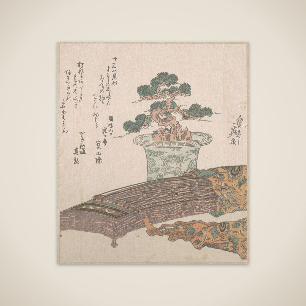 Potted Pine Tree and Koto (Japanese Harp) unframed print