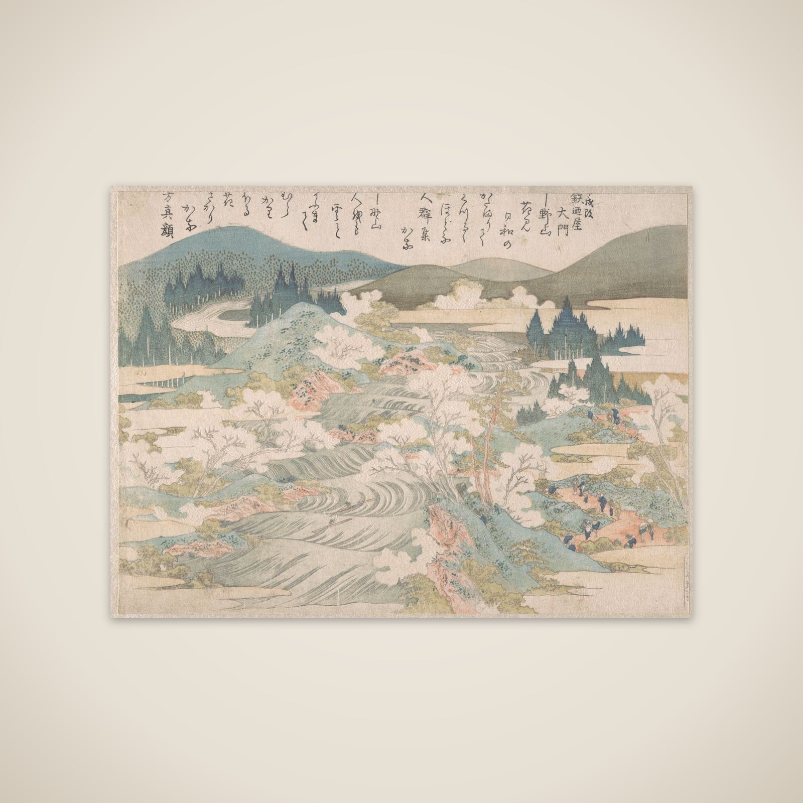 Flowering Cherry Trees Along the Yoshino River unframed print