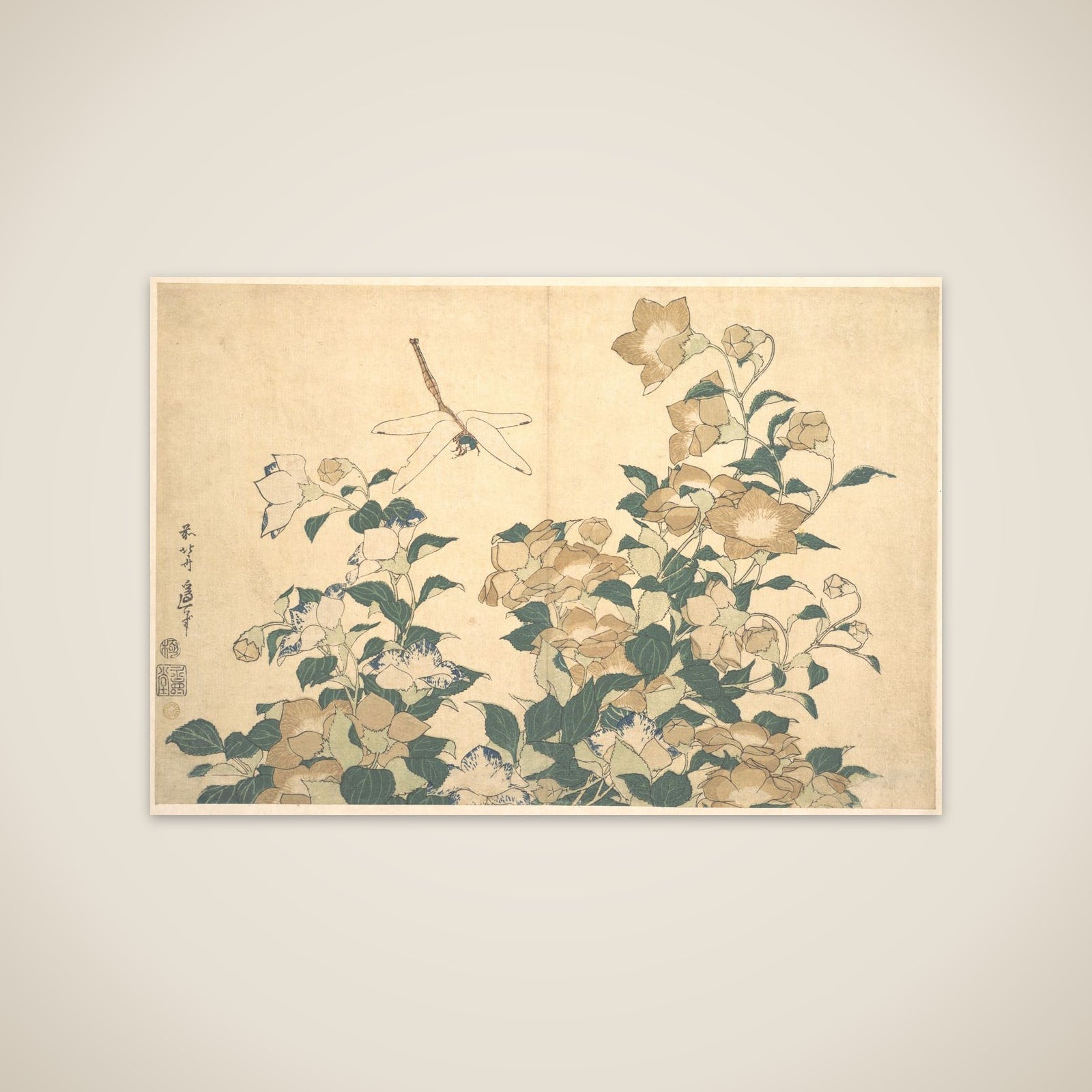 Dragonfly and Bellflower unframed print