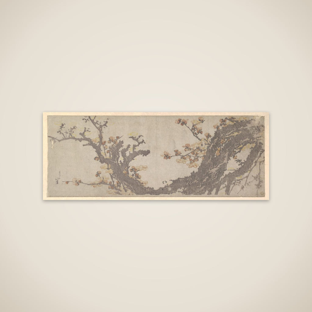 Ancient Plum Tree in Bloom unframed print