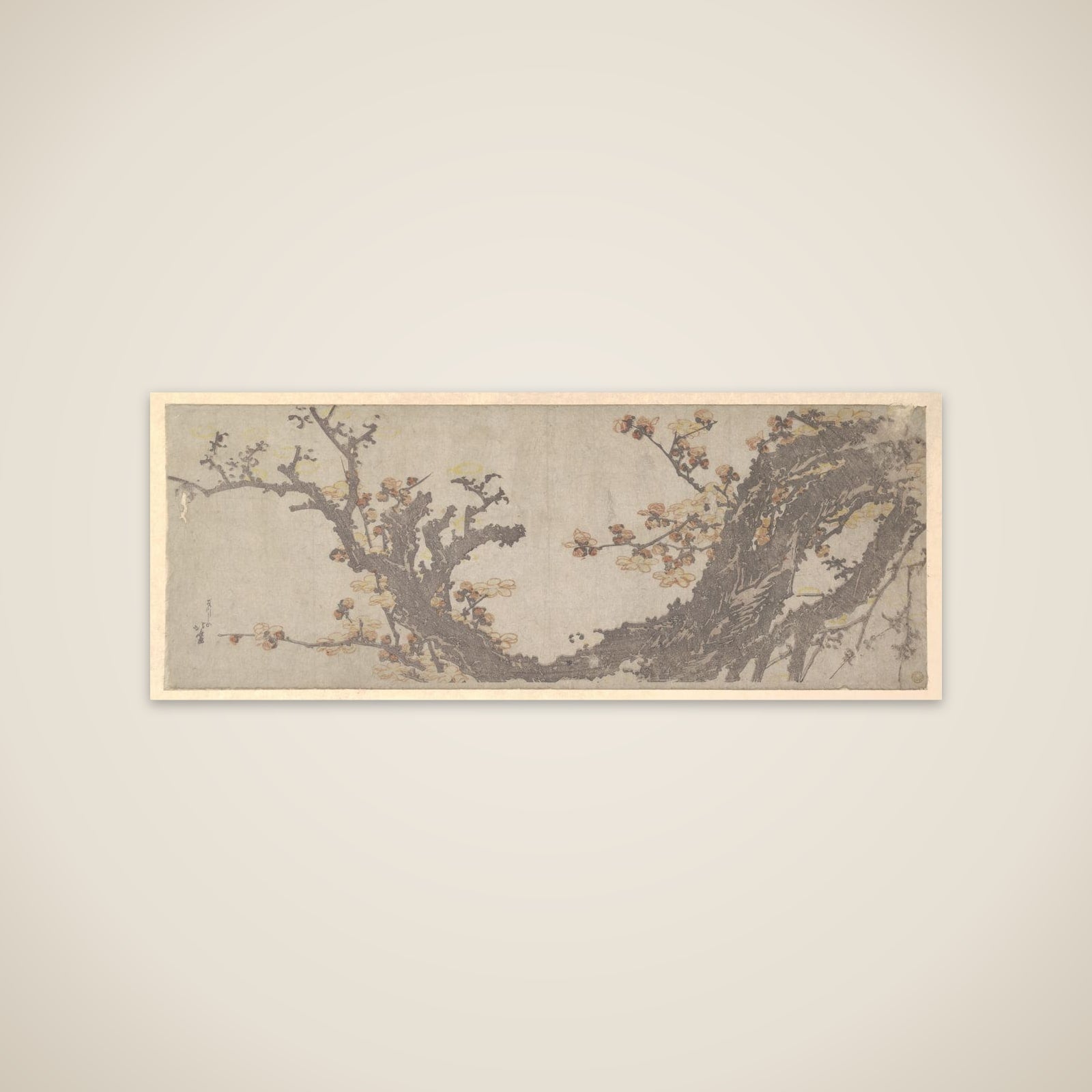 Ancient Plum Tree in Bloom unframed print