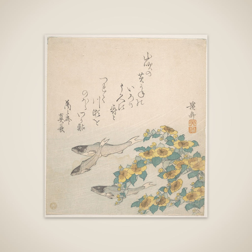 Fishes Swimming with Yellow Flowers unframed print