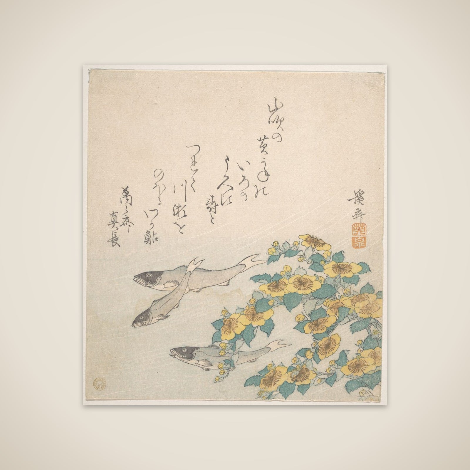 Fishes Swimming with Yellow Flowers unframed print