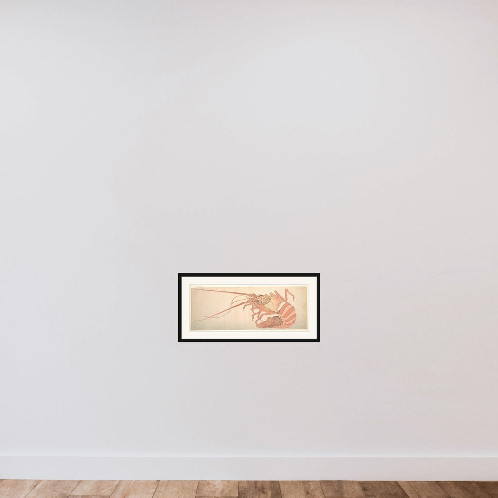Large Lobster framed — shown to scale
