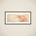 Large Lobster framed