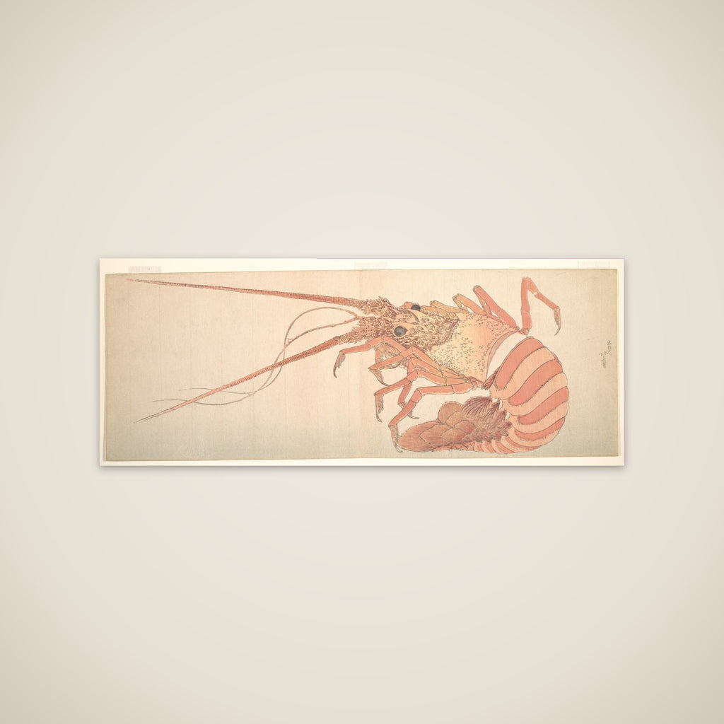Large Lobster unframed print
