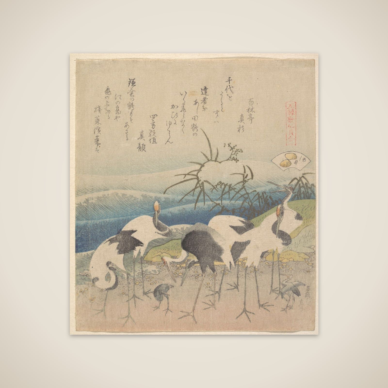 Ashi Clam, from the series "Genroku Kasen Kai-awase" unframed print