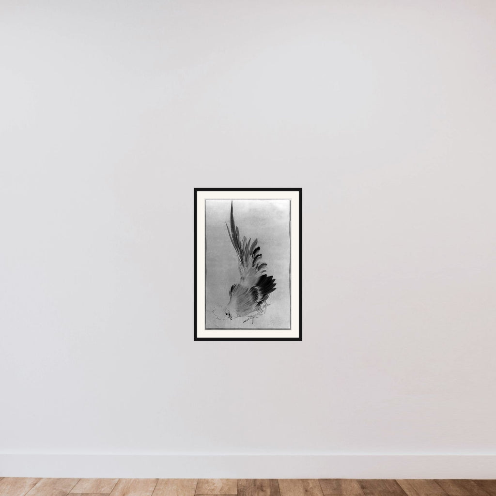 Cock framed — shown to scale