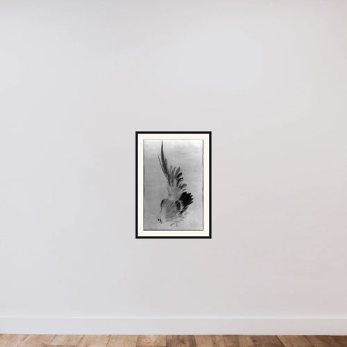 Cock framed — shown to scale