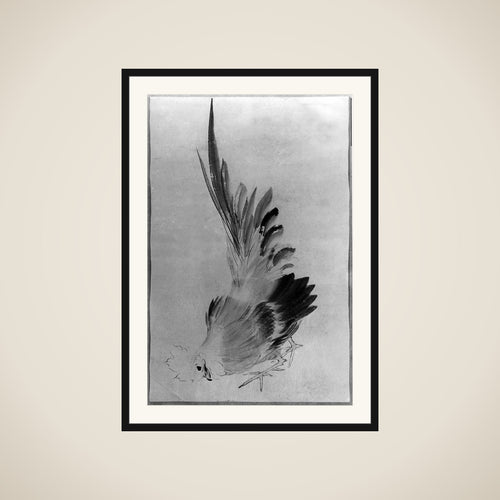 Cock framed