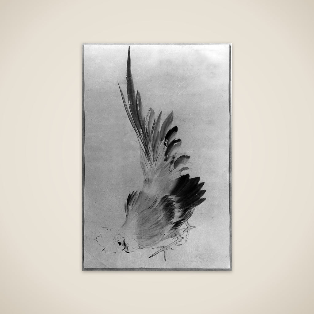 Cock unframed print