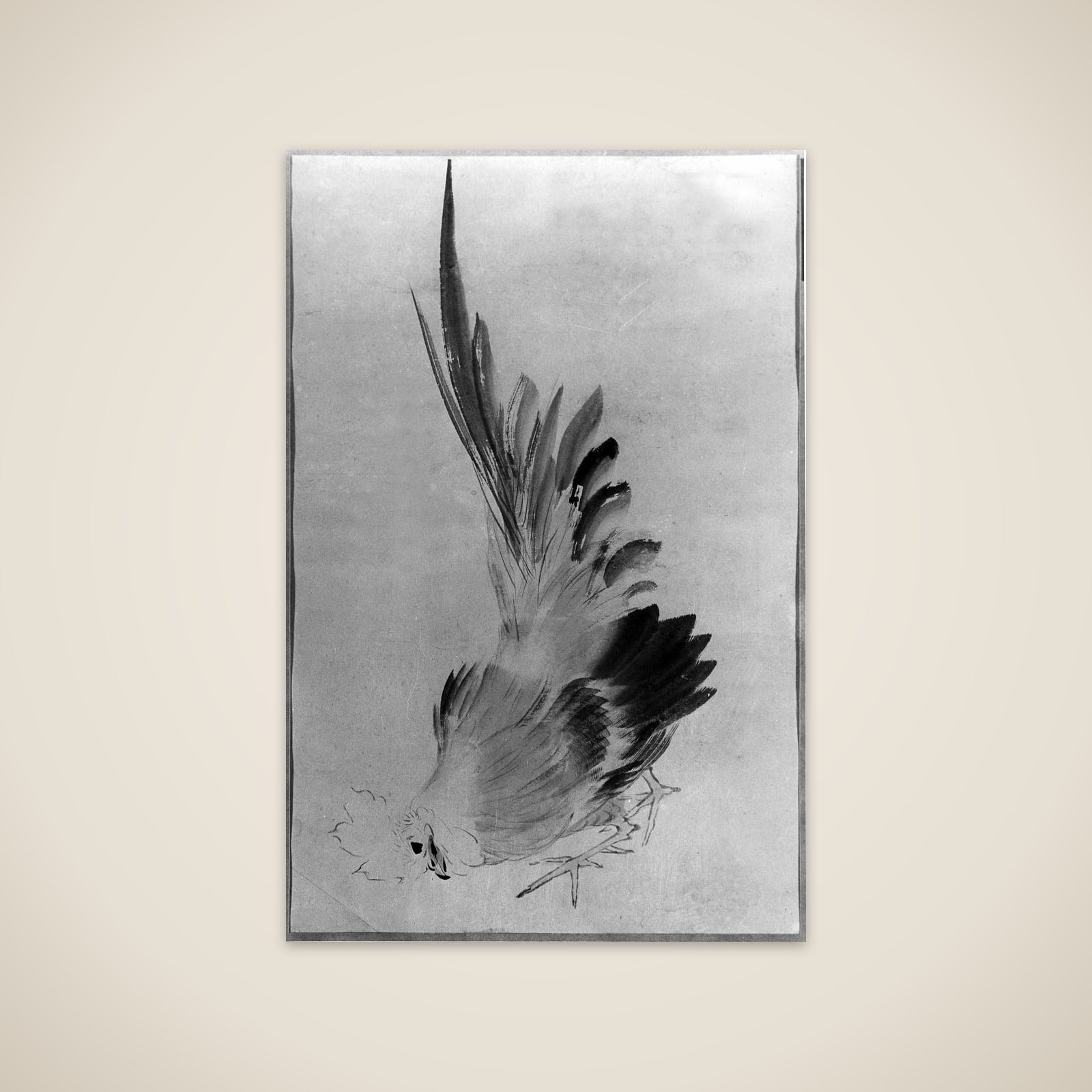 Cock unframed print