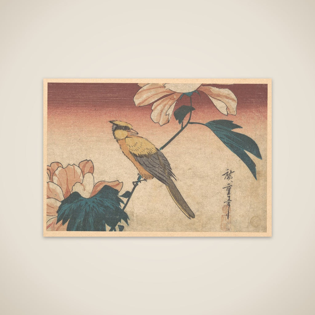 Hibiscus Mutabilis and Jay unframed print