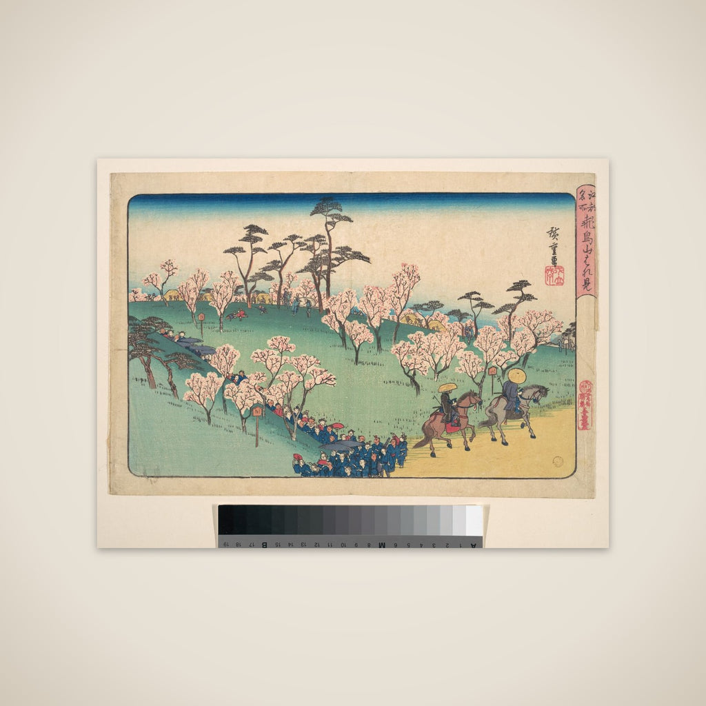 Asukayama Hanami unframed print