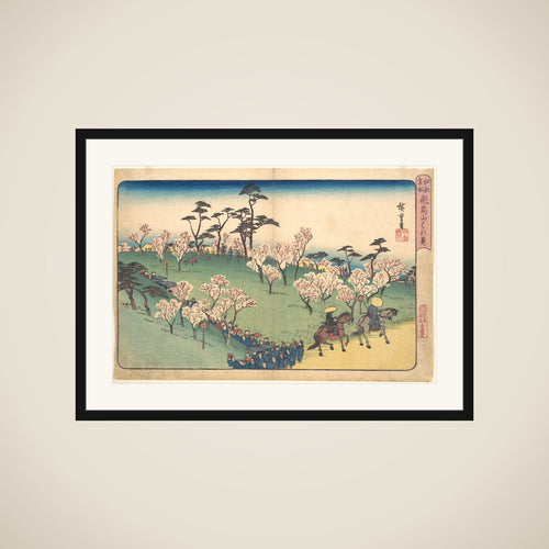 Asukayama Hanami framed