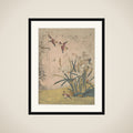 Birds and Narcissus framed