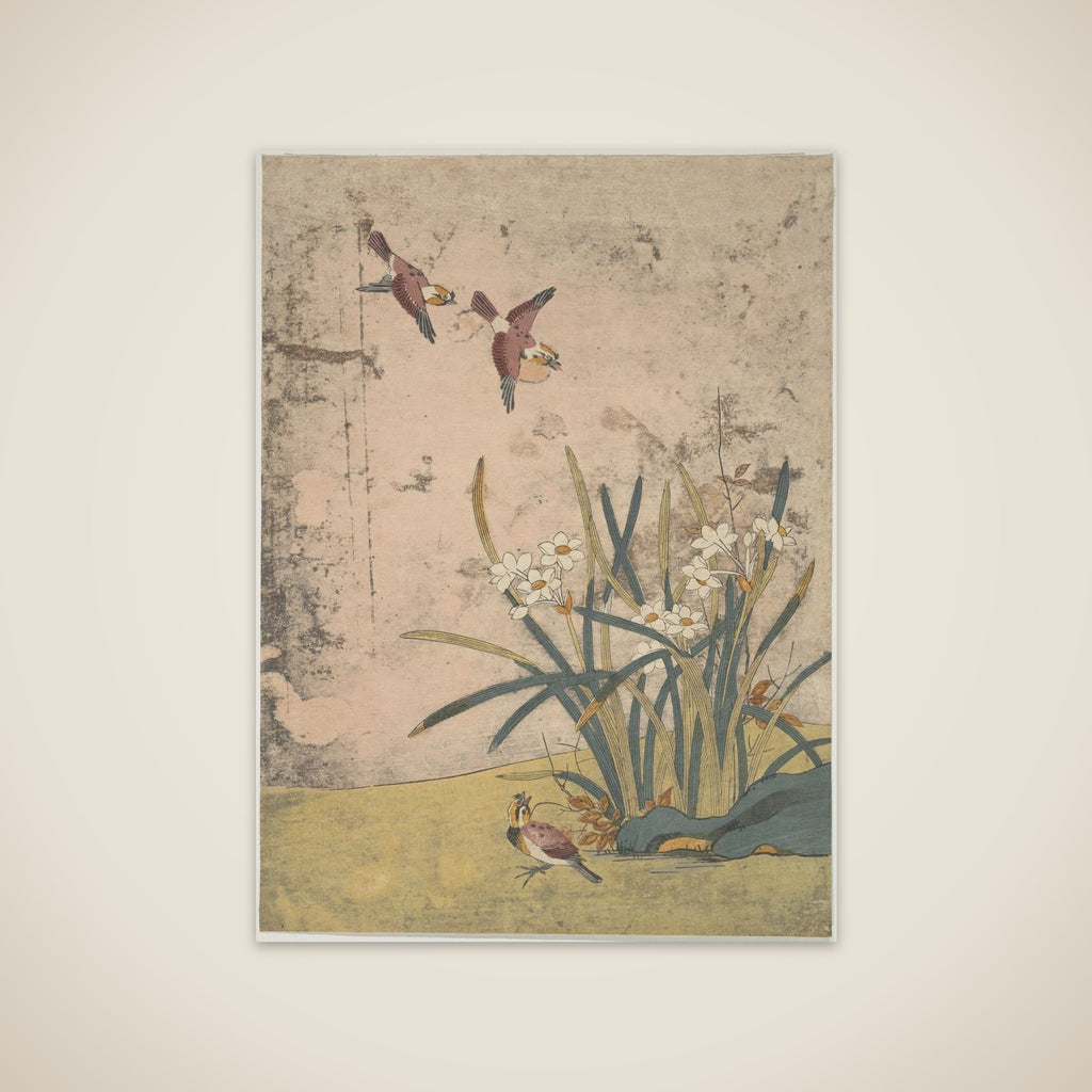 Birds and Narcissus unframed print