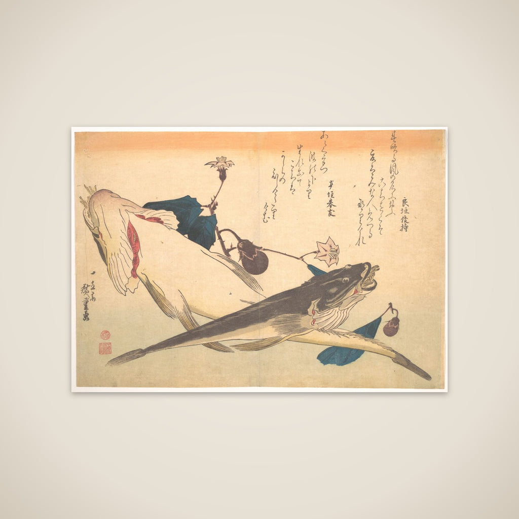 Kochi Fish with Eggplant, from the series Uozukushi (Every Variety of Fish) unframed print