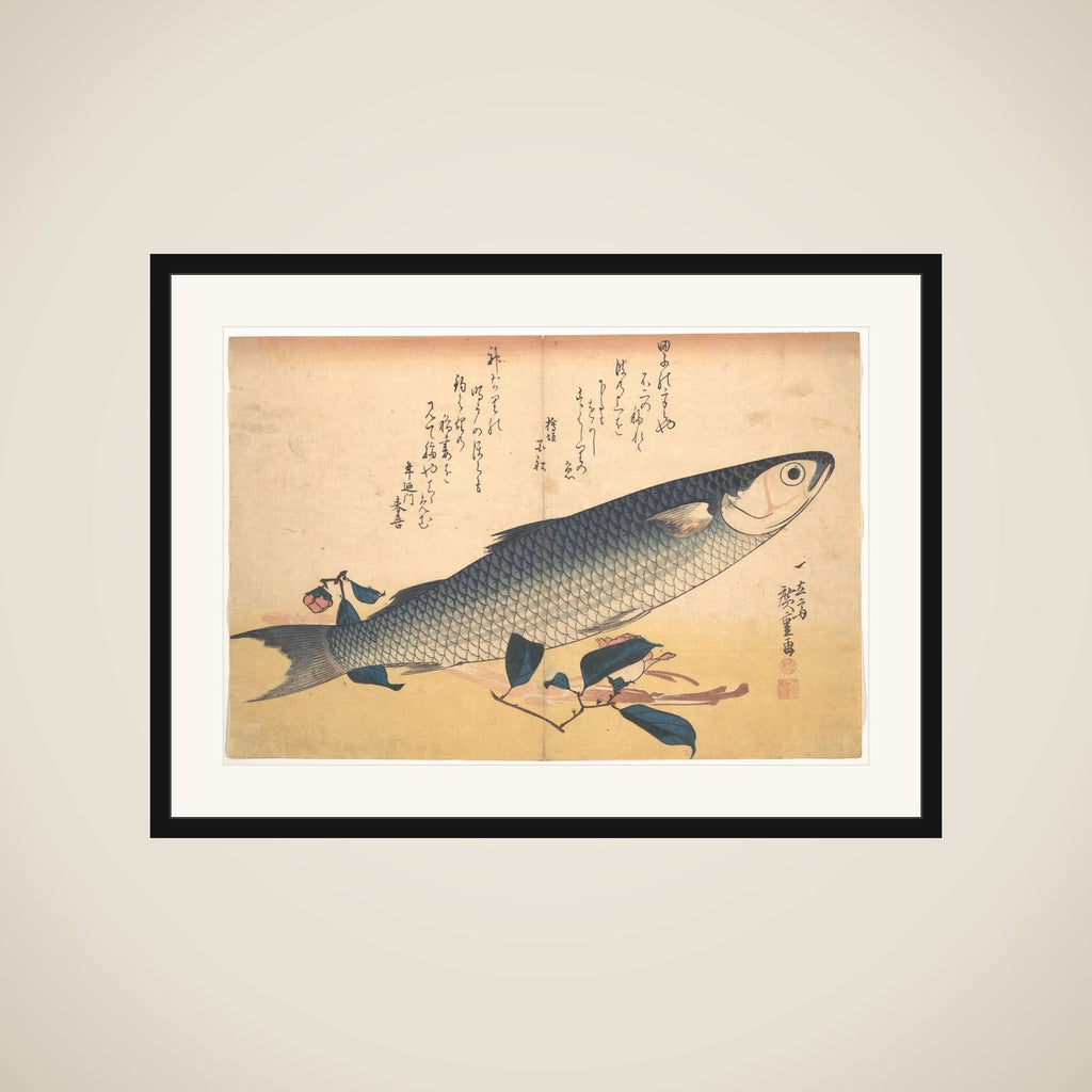 Bora Fish with Camellia, from the series Uozukushi (Every Variety of Fish) framed