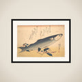 Bora Fish with Camellia, from the series Uozukushi (Every Variety of Fish) framed