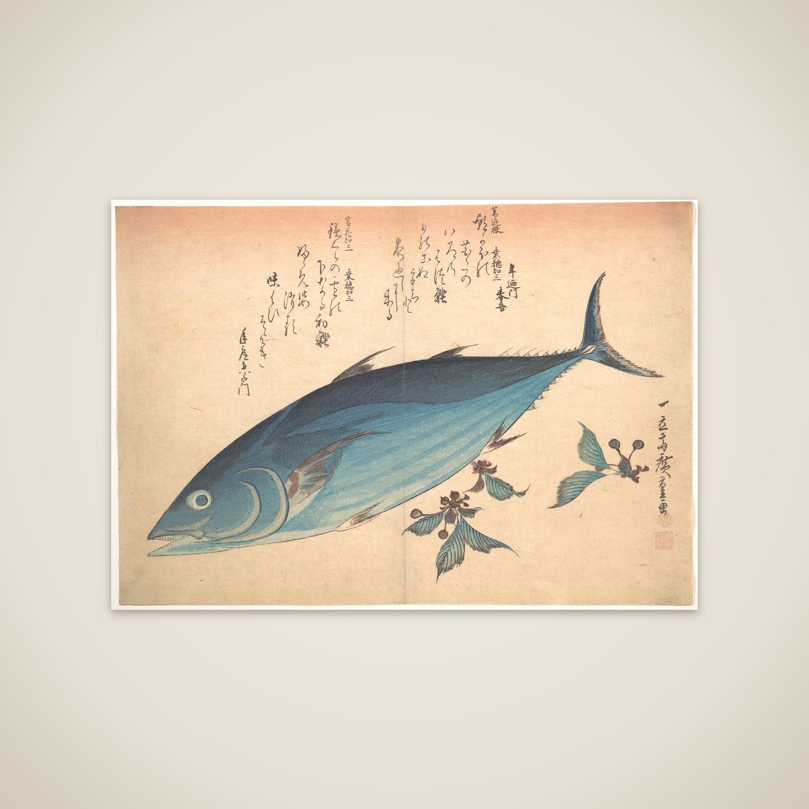 Katsuo Fish with Cherry Buds, from the series Uozukushi (Every Variety of Fish) unframed print