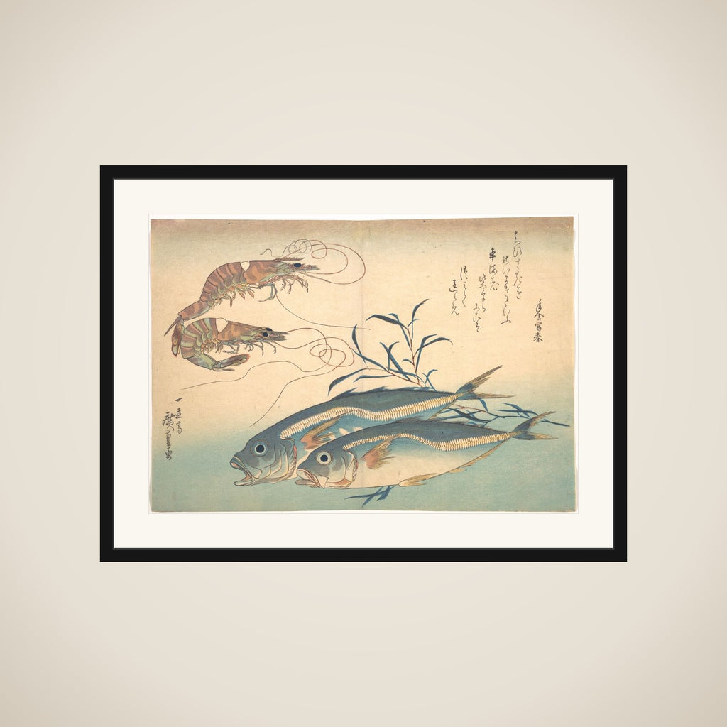 Aji Fish and Kuruma-ebi, from the series Uozukushi (Every Variety of Fish) framed