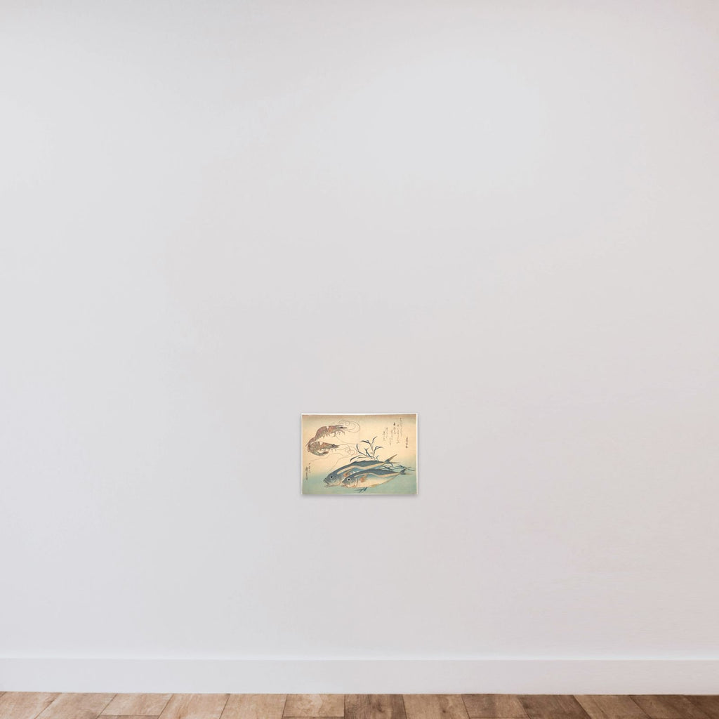 Aji Fish and Kuruma-ebi, from the series Uozukushi (Every Variety of Fish) unframed — shown to scale