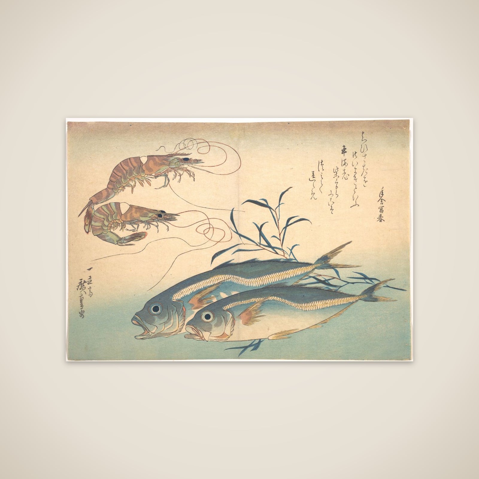 Aji Fish and Kuruma-ebi, from the series Uozukushi (Every Variety of Fish) unframed print