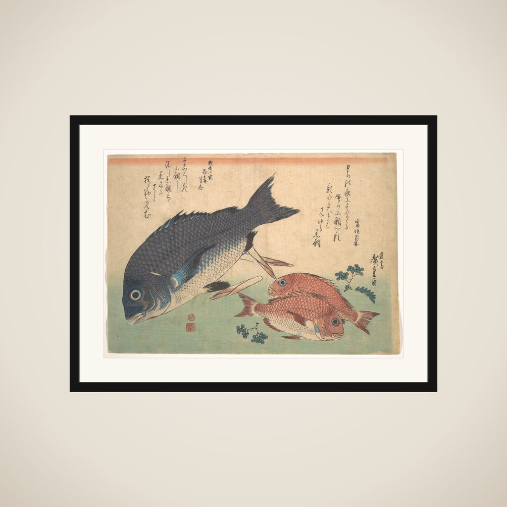Kurodai and Kodai Fish with Bamboo Shoots and Berries, from the series Uozukushi (Every Variety of Fish) framed