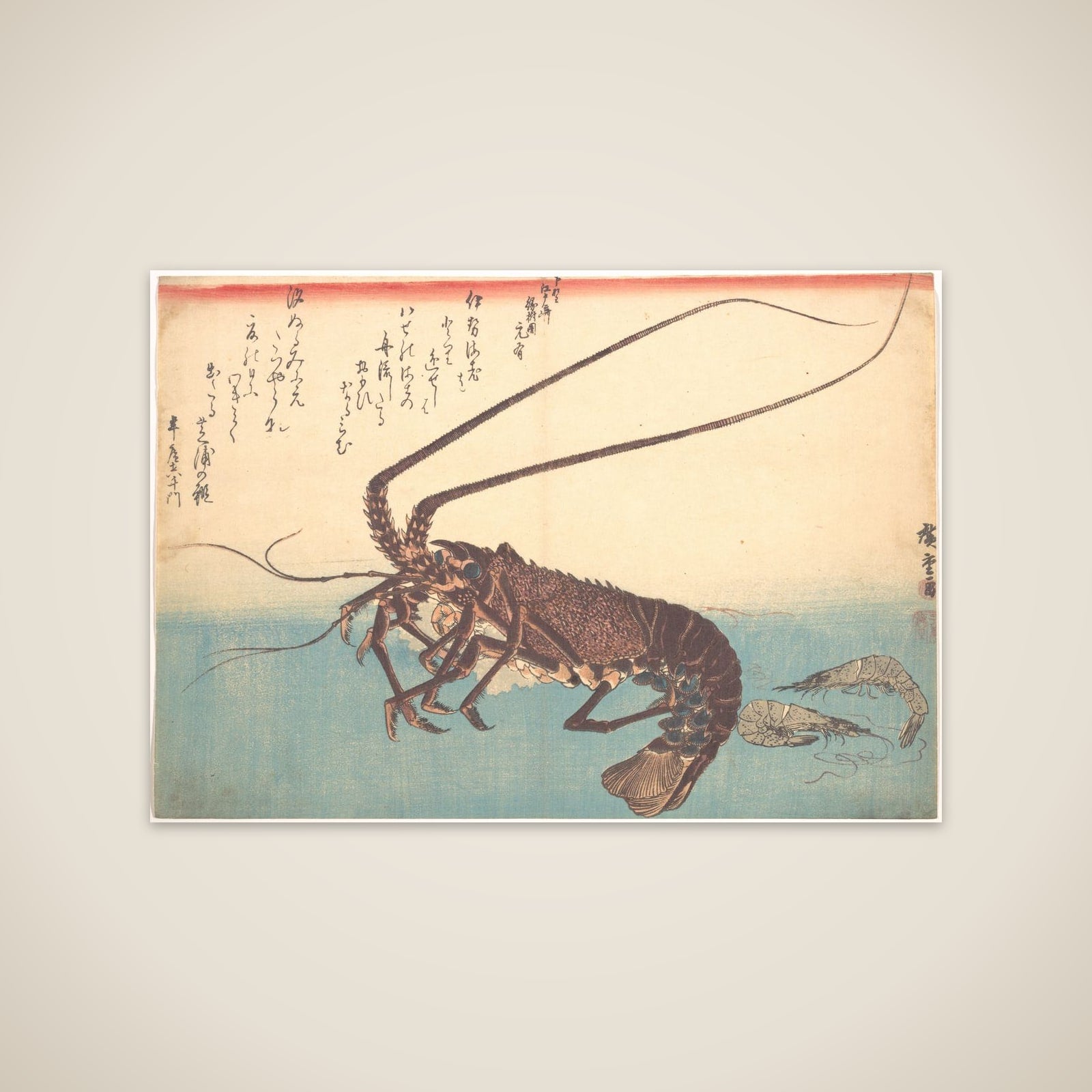 Ise-ebi and Shiba-ebi, from the series Uozukushi (Every Variety of Fish) unframed print