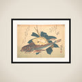Kanagashira and Karei Fish, from the series Uozukushi (Every Variety of Fish) framed