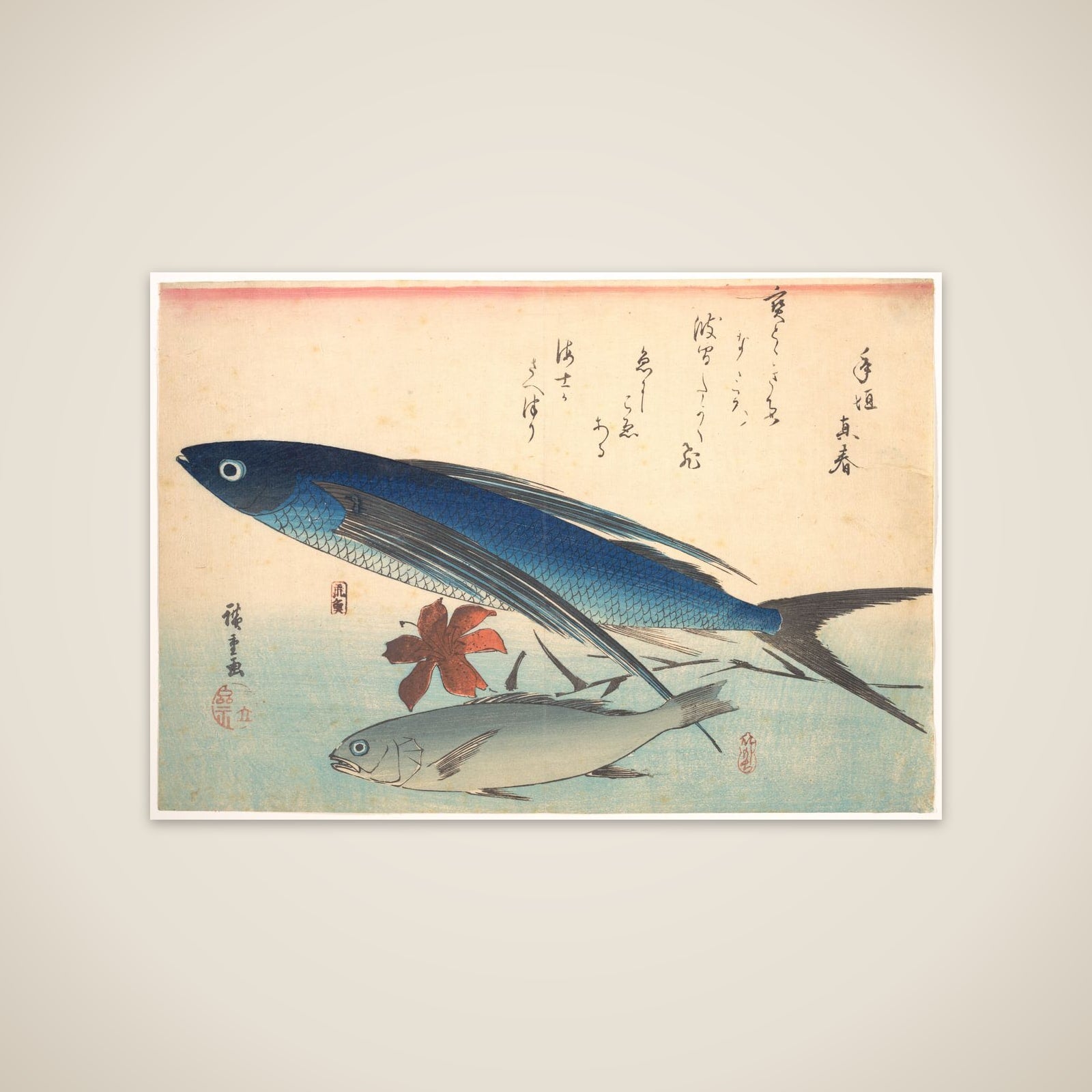 Tobiuo and Ishimochi Fish, from the series Uozukushi (Every Variety of Fish) unframed print