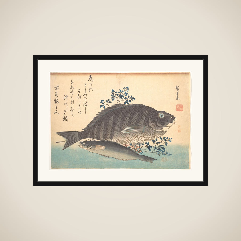 Shimadai and Ainame Fish, from the series Uozukushi (Every Variety of Fish) framed
