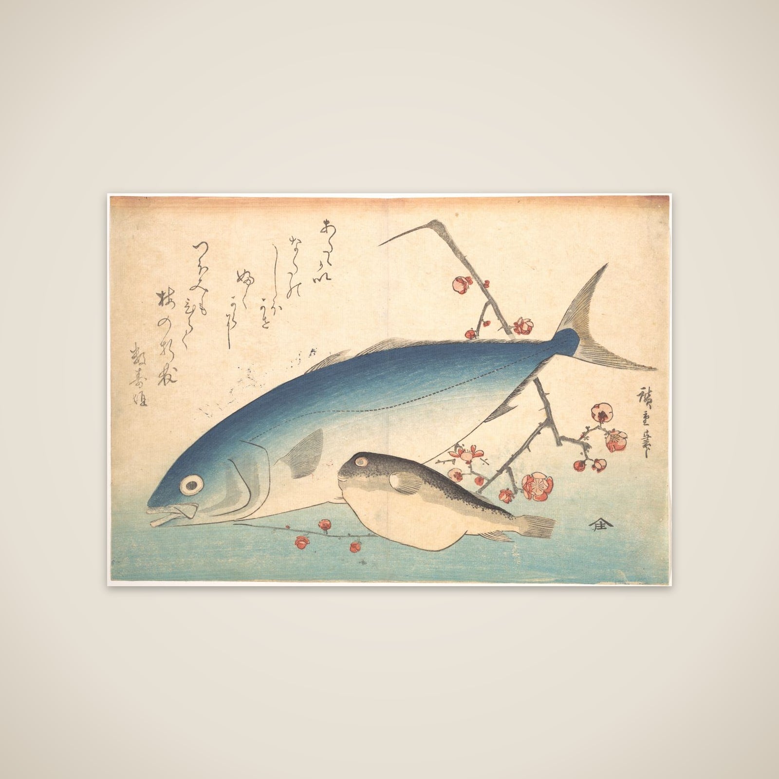 Fugu and Inada Fish, from the series Uozukushi (Every Variety of Fish) unframed print