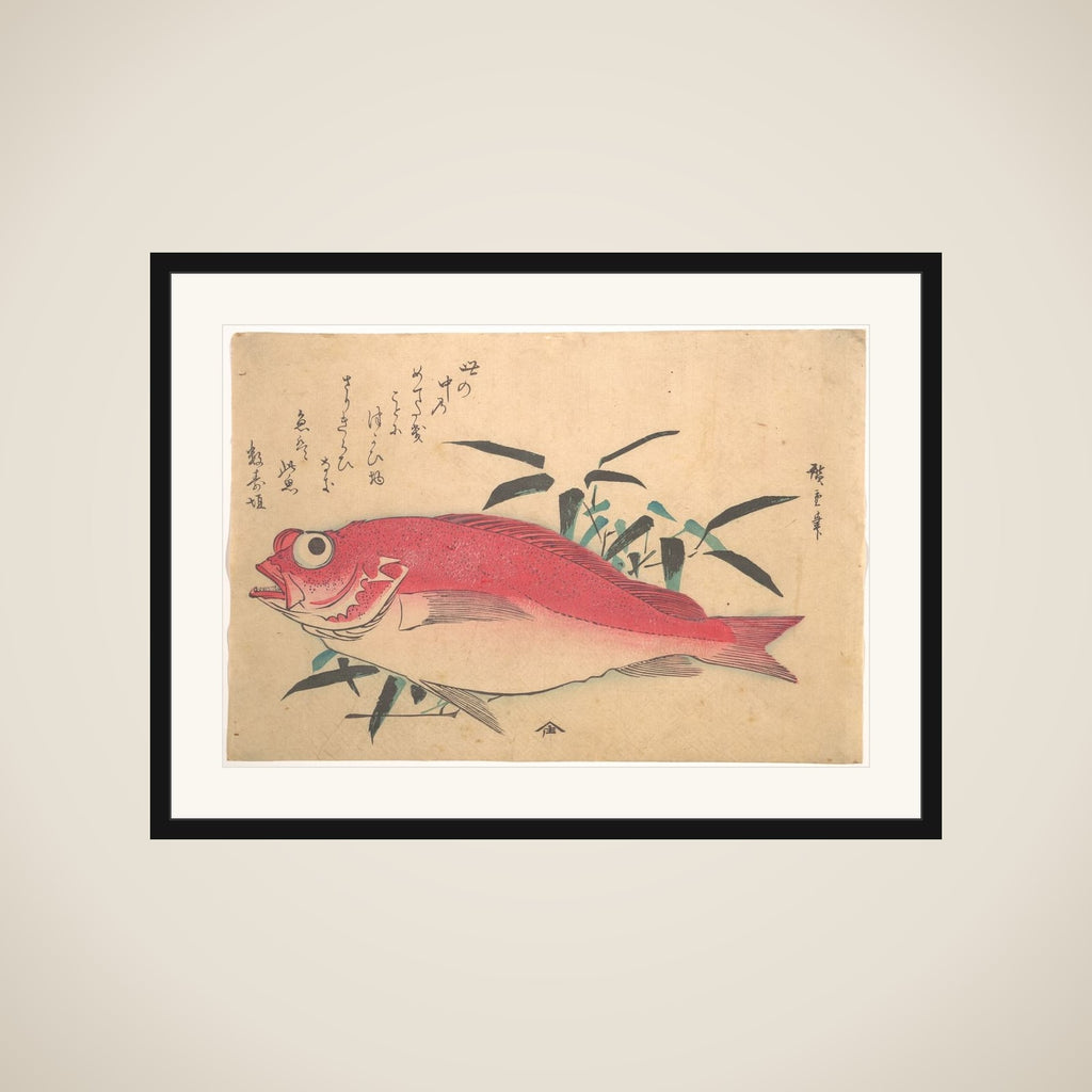 Medetai Fush and Sasaki Bamboo, from the series Uozukushi (Every Variety of Fish) framed