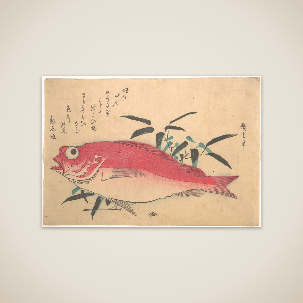 Medetai Fush and Sasaki Bamboo, from the series Uozukushi (Every Variety of Fish) unframed print