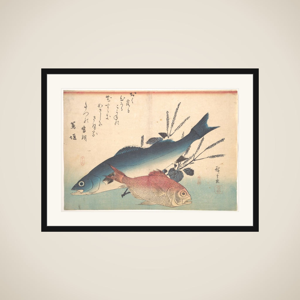 Suzuki and Kinmedai Fish from the series Uozukushi (Every Variety of Fish) framed