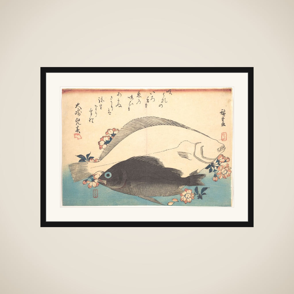 Hirame and Mebaru Fish with Cherry Blossoms, from the series Uozukushi (Every Variety of Fish) framed