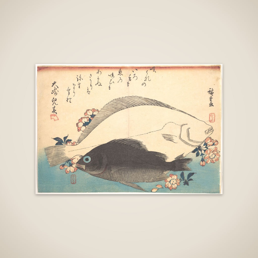 Hirame and Mebaru Fish with Cherry Blossoms, from the series Uozukushi (Every Variety of Fish) unframed print