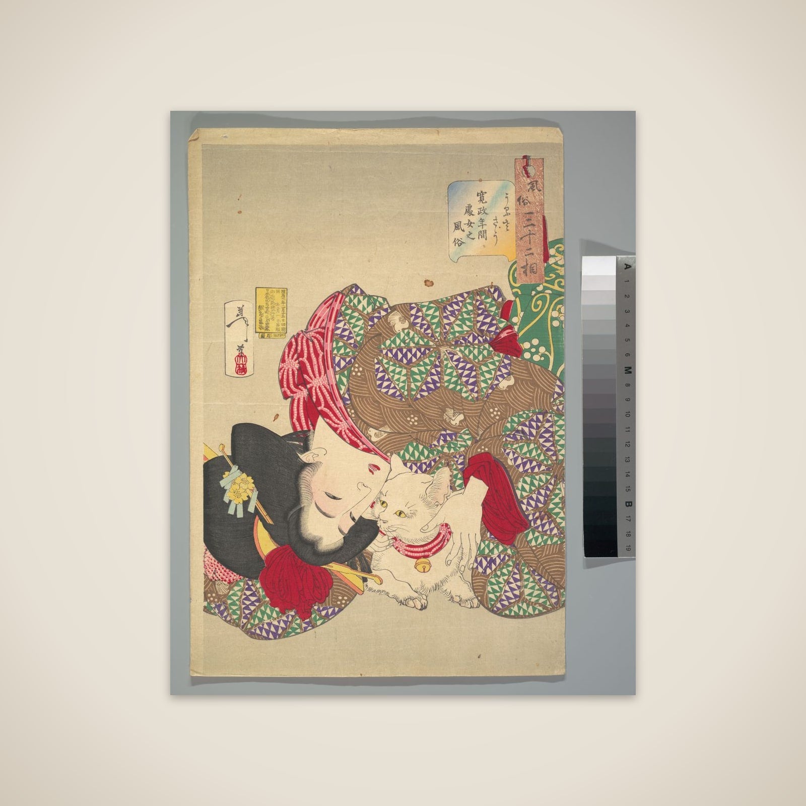 Teasing the Cat unframed print