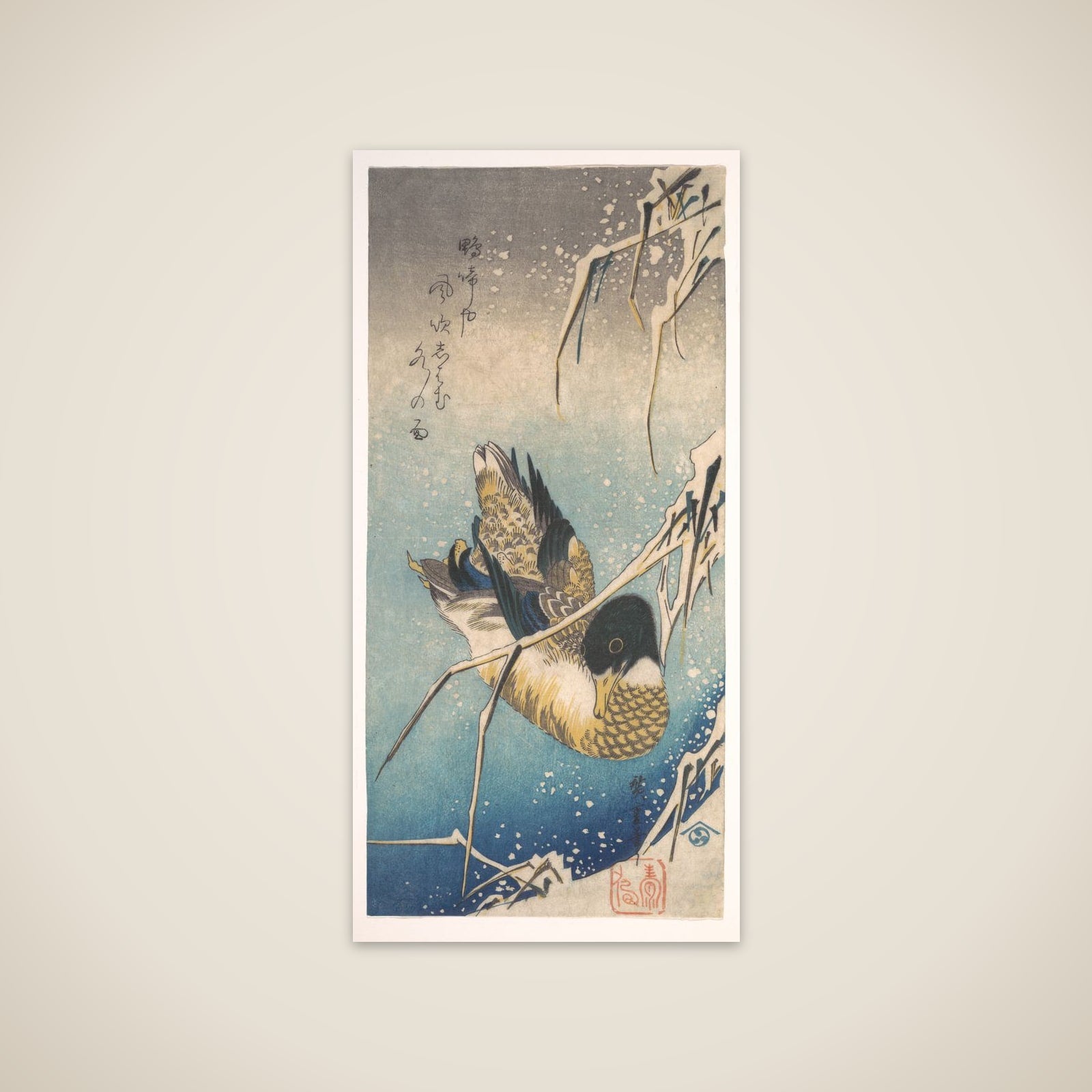 Mallard and Snow-covered Reeds unframed print
