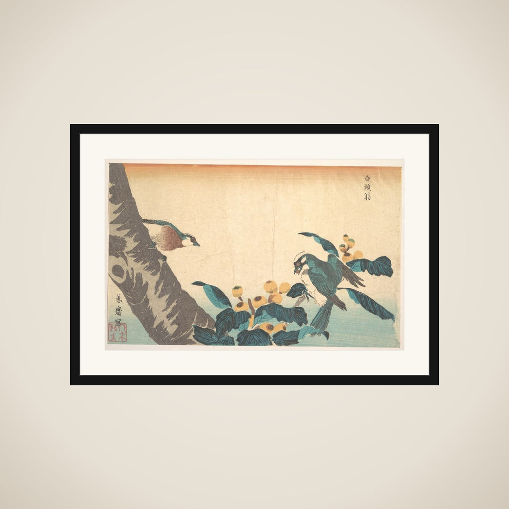 Birds and Flowers framed