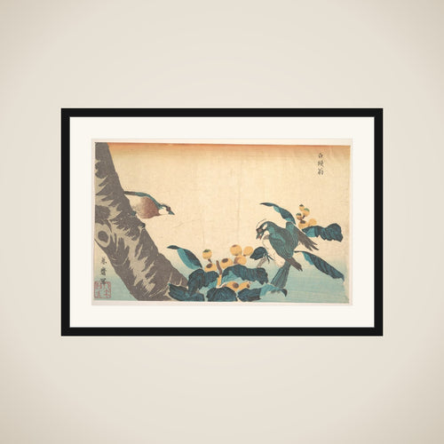 Birds and Flowers framed