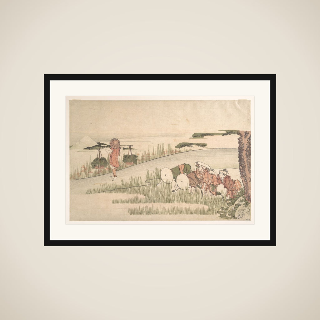 Spring in the Rice Fields framed