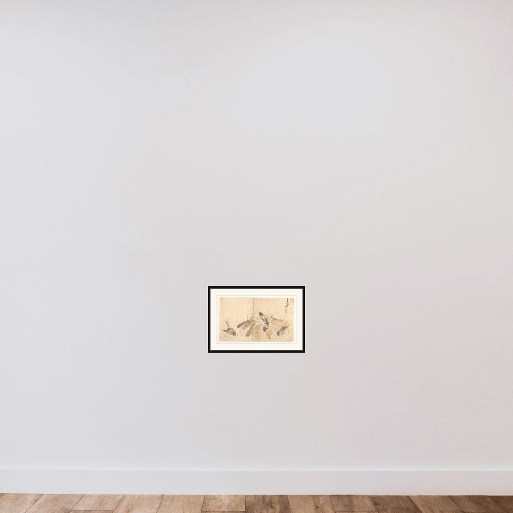 Sparrows framed — shown to scale