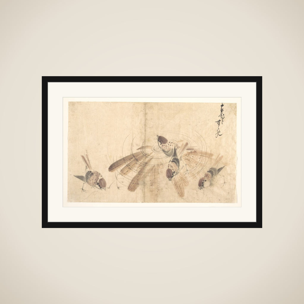 Sparrows framed