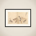 Sparrows framed