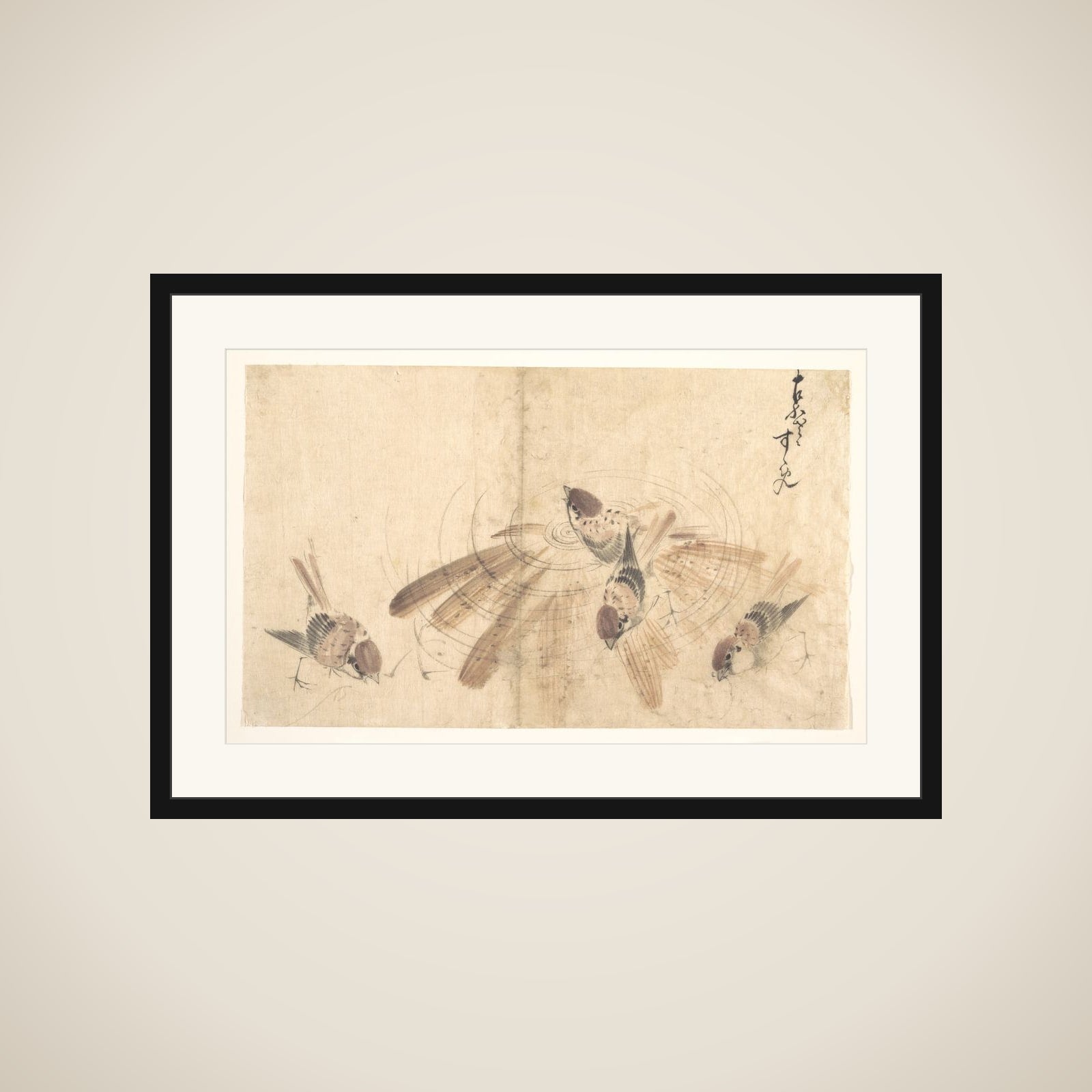 Sparrows framed