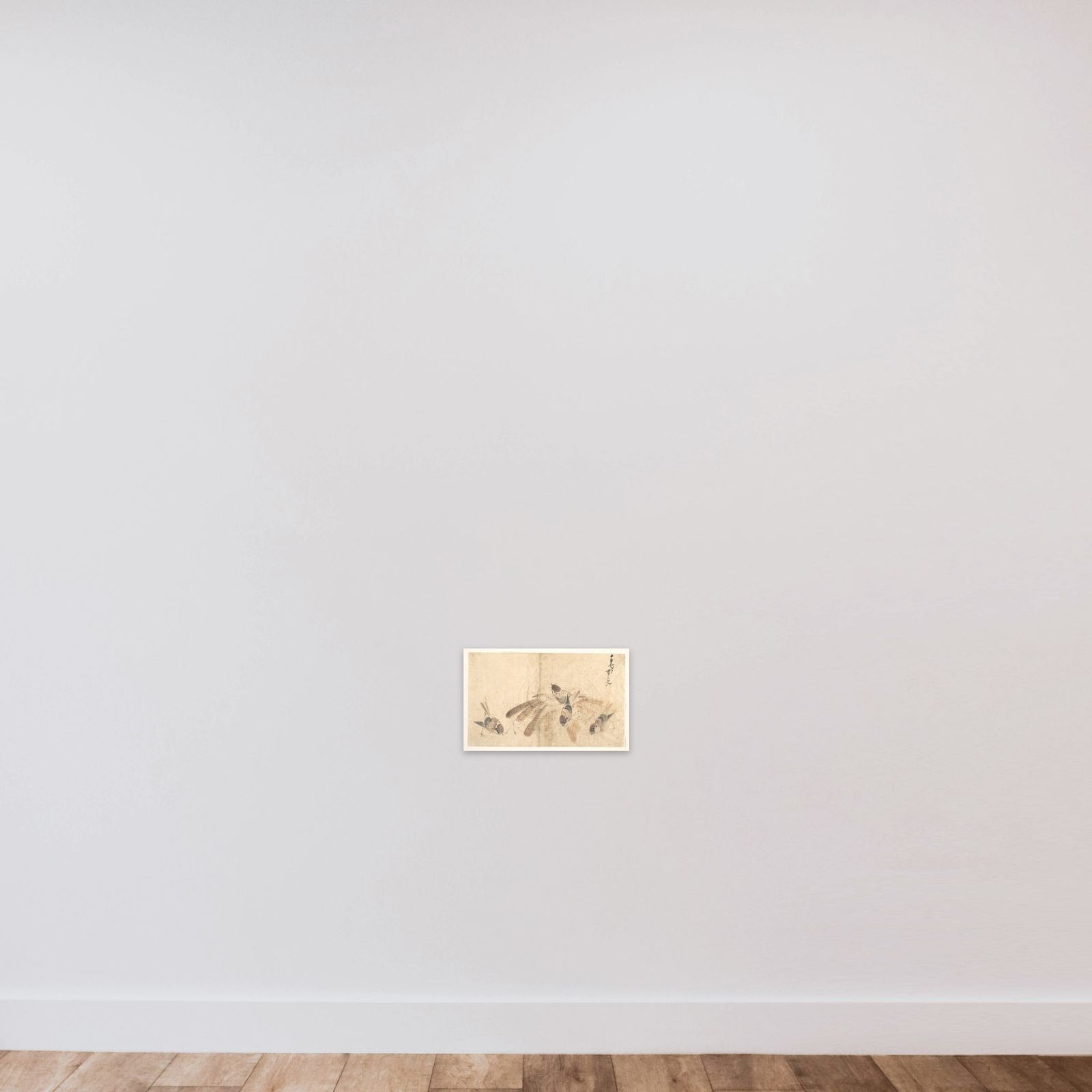 Sparrows unframed — shown to scale