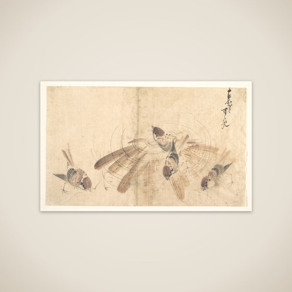 Sparrows unframed print